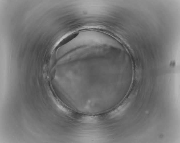 X0000093121369200710241254