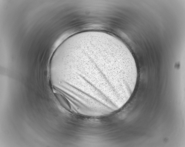 X0000093121370200710241254