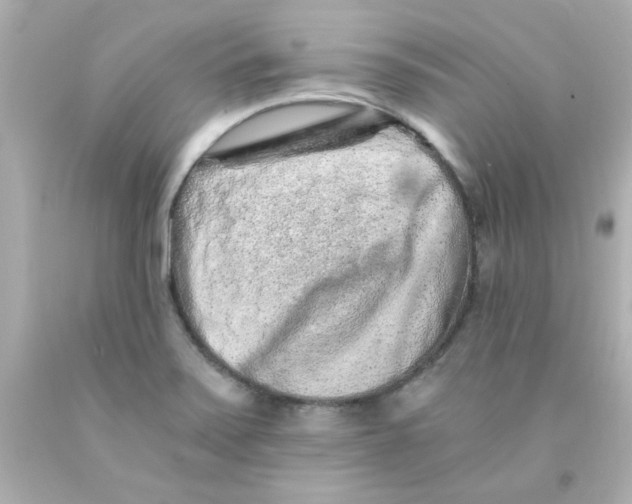 X0000093121371200710241254