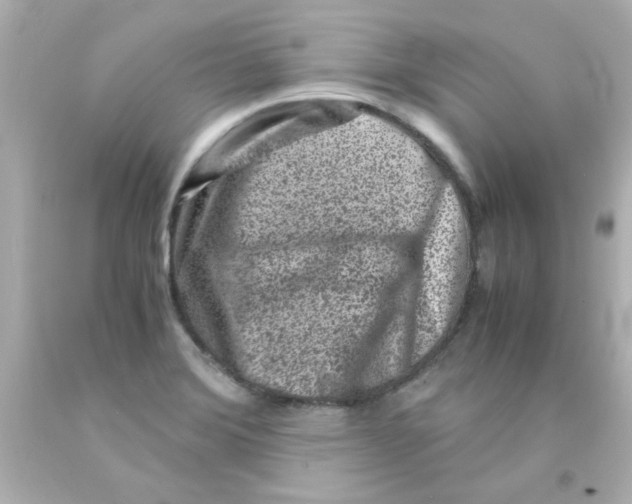 X0000093121372200710241254