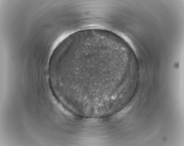 X0000093121373200710241254