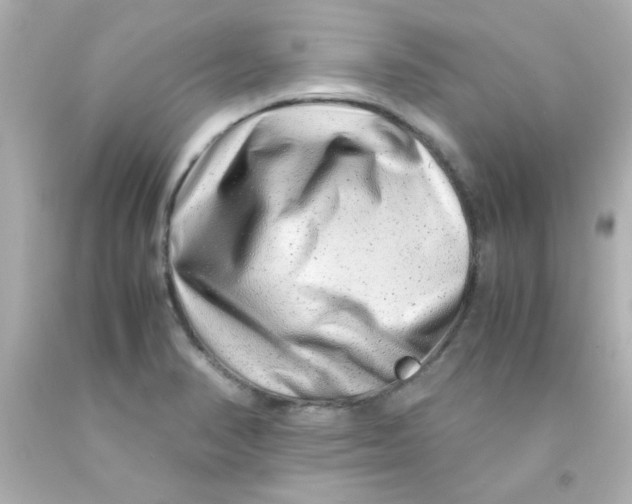 X0000093121374200710241254