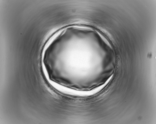 X0000093121375200710241254