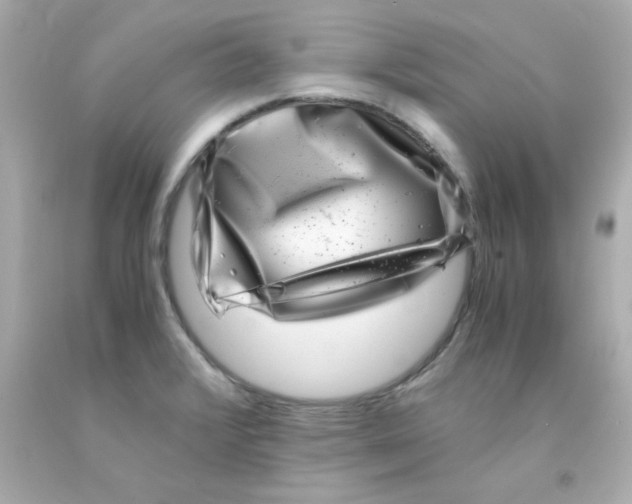 X0000093121376200710241254