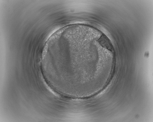 X0000093121377200710241254