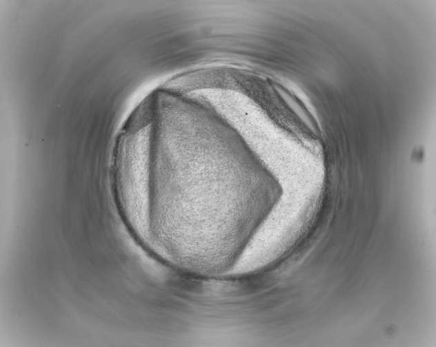 X0000093121379200710241254