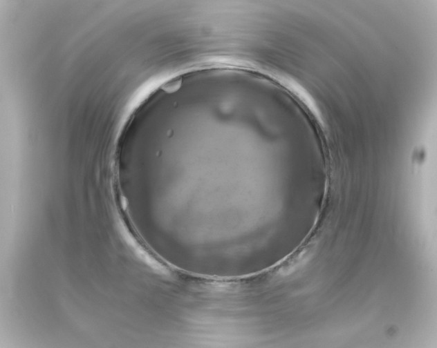 X0000093121381200710241254