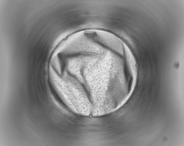 X0000093121382200710241254