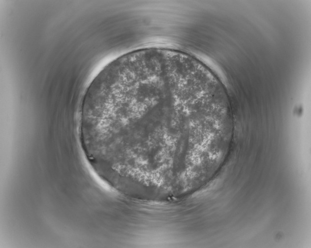 X0000093121383200710241254