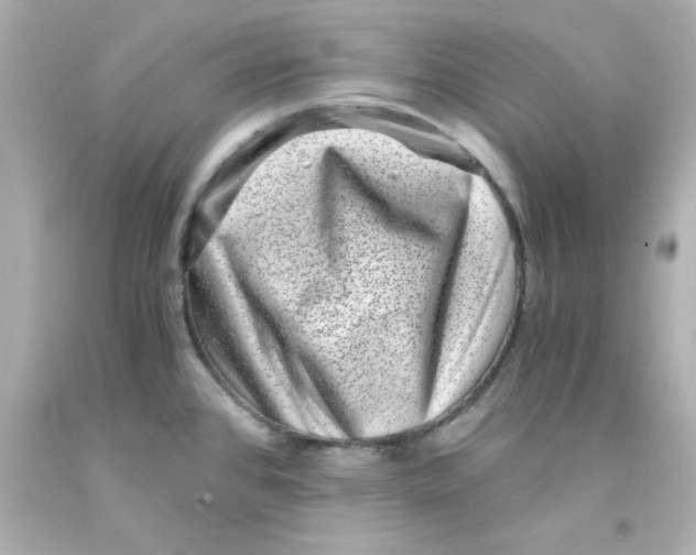 X0000093121384200710241254