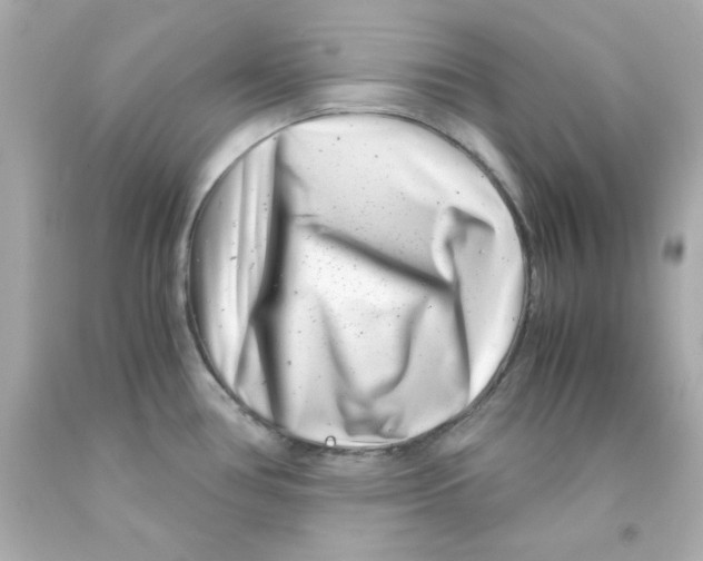 X0000093121386200710241254