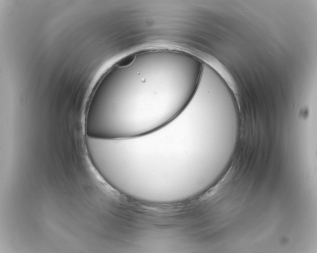 X0000093121388200710241253