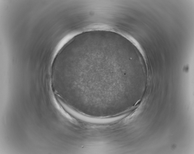 X0000093121389200710241253