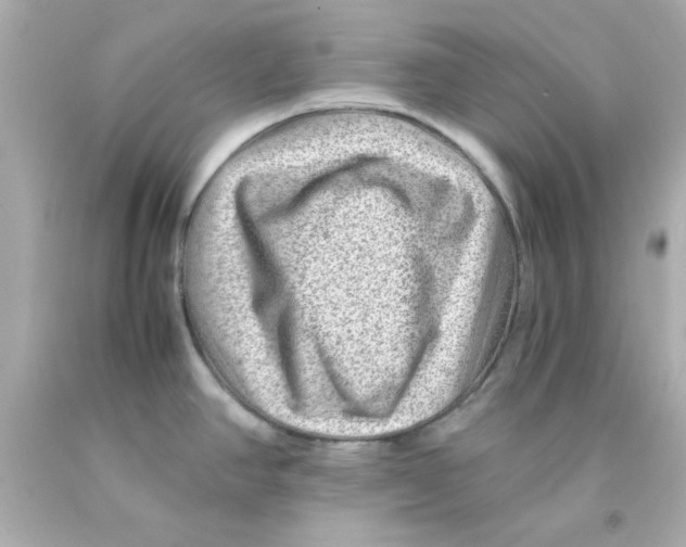 X0000093121390200710241253