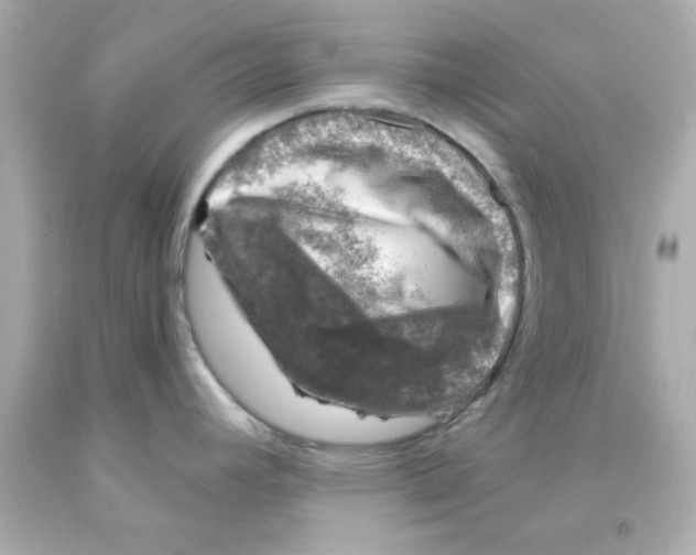 X0000093121392200710241253