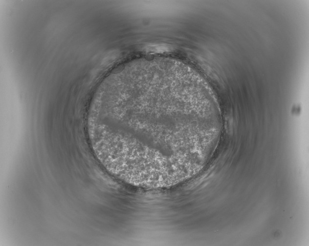 X0000093121393200710241253