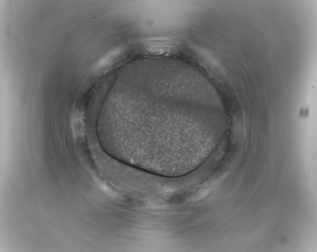 X0000093121394200710241253