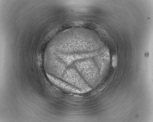 X0000093121395200710241253