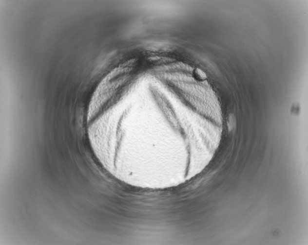 X0000093121396200710241253