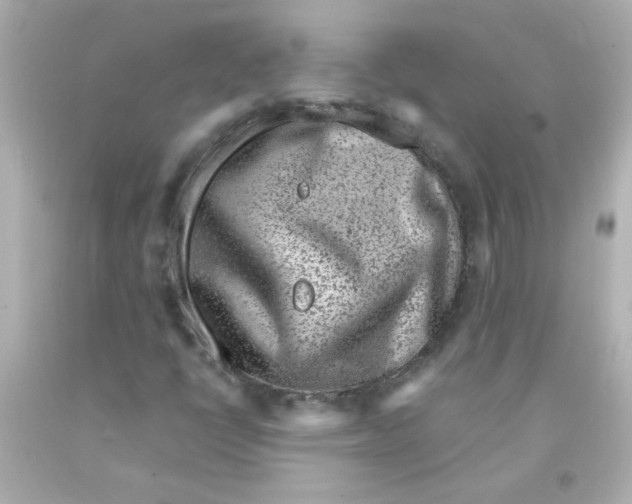 X0000093121398200710241253