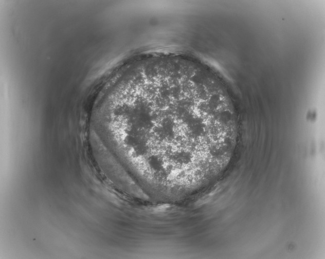 X0000093121399200710241253