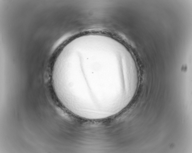 X0000093121400200710241253