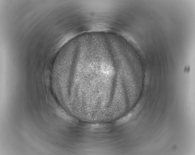 X0000093121401200710241253