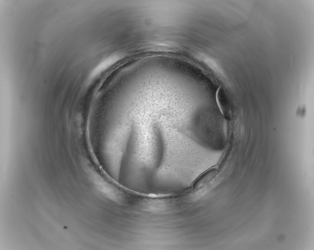 X0000093121402200710241253