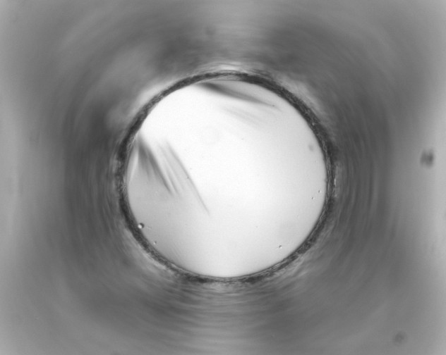 X0000093121404200710241253