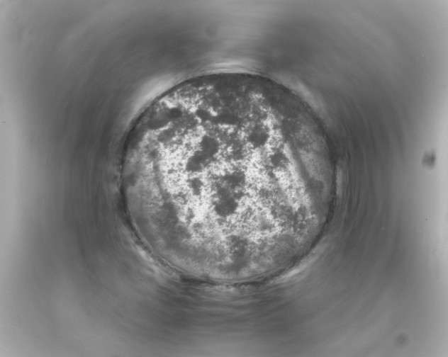 X0000093121405200710241253