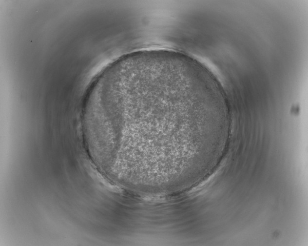 X0000093121407200710241253