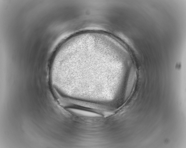 X0000093121408200710241253