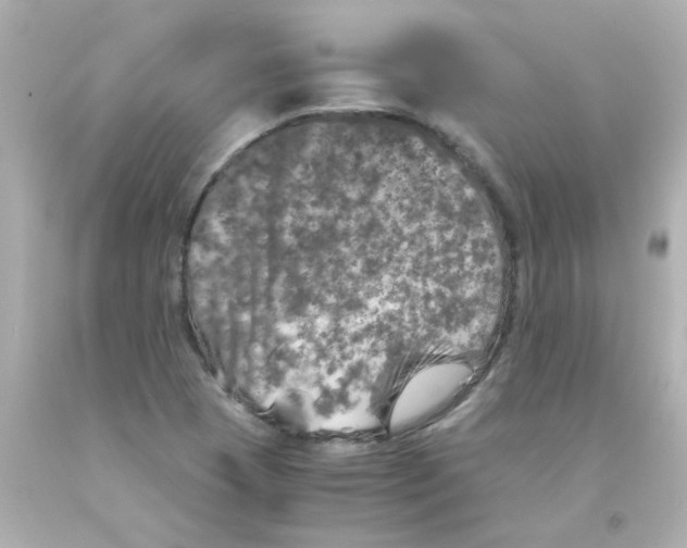 X0000093121409200710241253