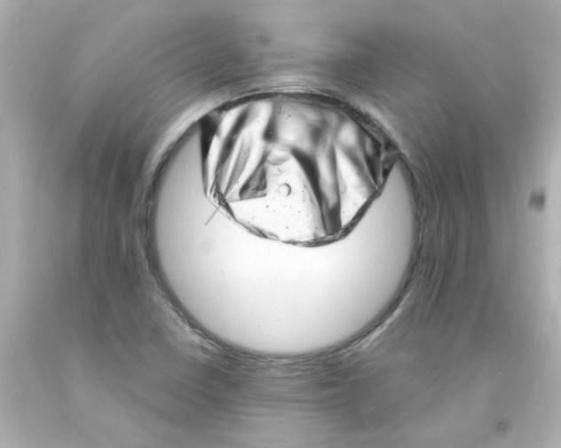 X0000093121410200710241253