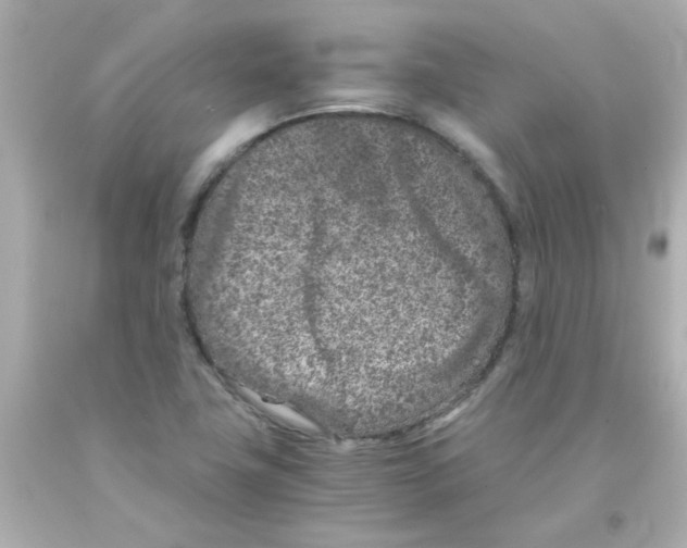 X0000093121411200710241253