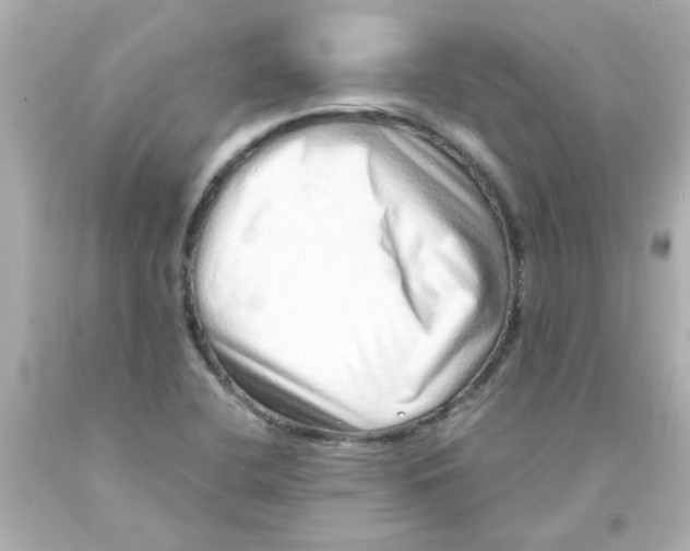 X0000093121412200710241253