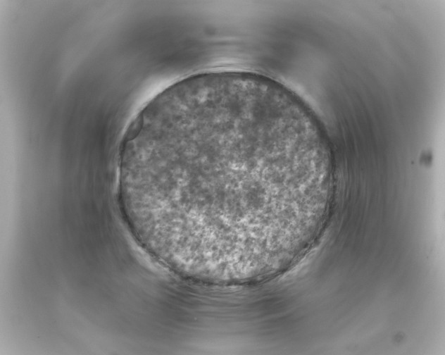 X0000093121413200710241253