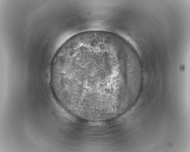 X0000093121415200710241253