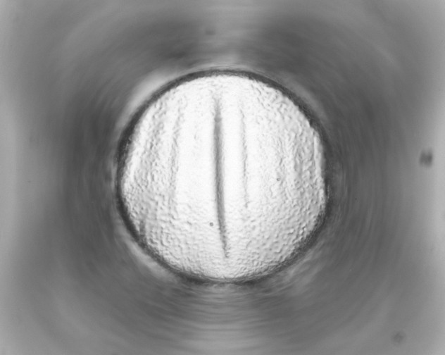 X0000093121416200710241253