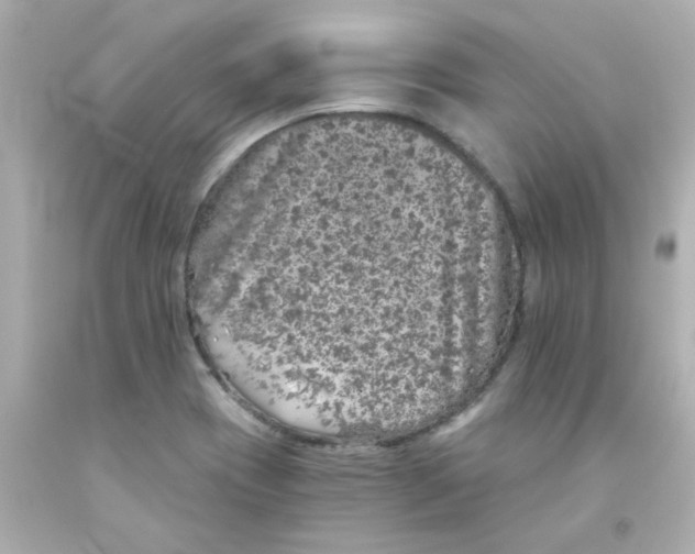 X0000093121417200710241253