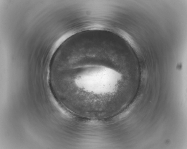 X0000093121418200710241253