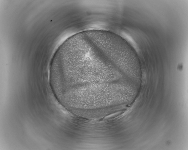 X0000093121419200710241253