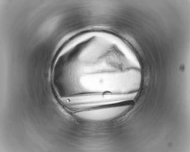 X0000093121420200710241253