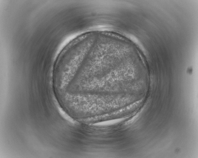 X0000093121421200710241253