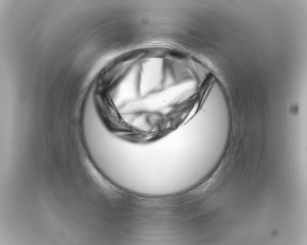 X0000093121422200710241253