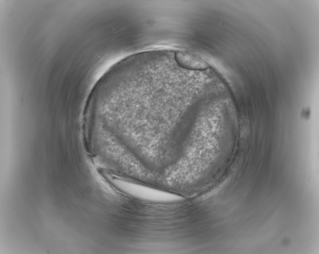 X0000093121423200710241253