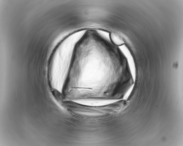 X0000093121424200710241253