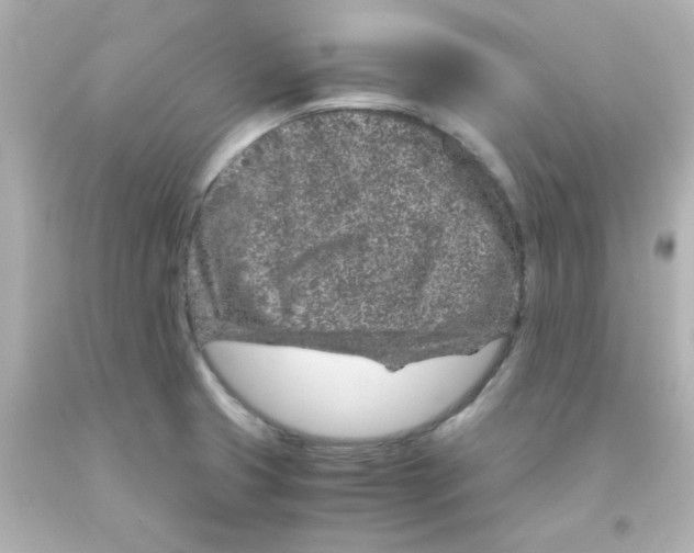 X0000093121425200710241253