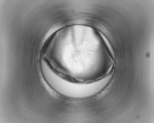 X0000093121426200710241253