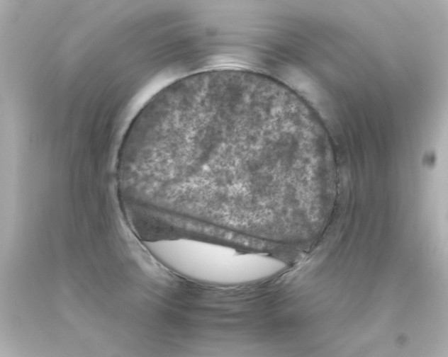 X0000093121427200710241253